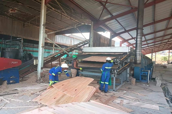 楊木單板午夜成人APP导航